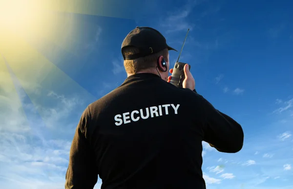 Site protection security services